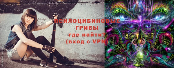 шишки Арсеньев